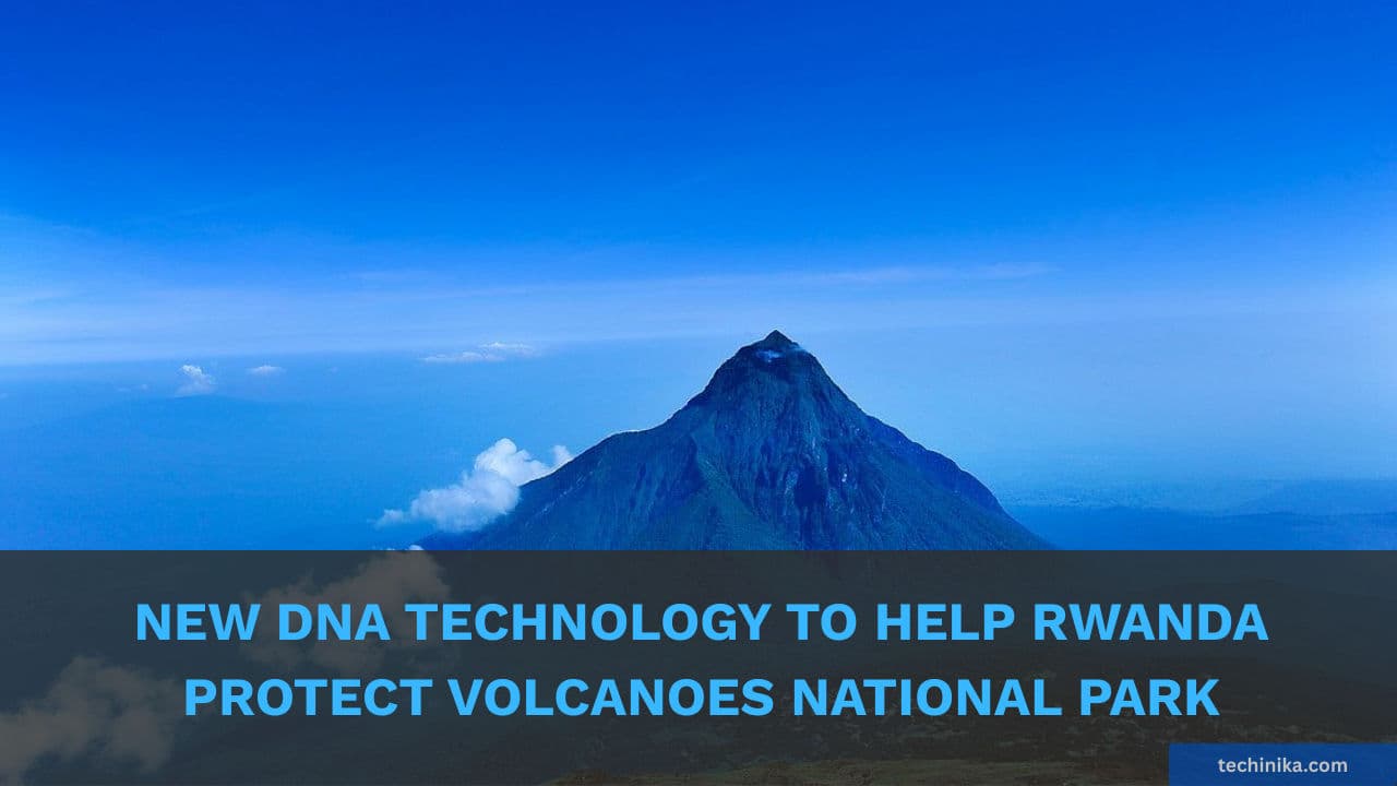 New DNA Technology to Help Rwanda Protect Volcanoes National Park Wildlife