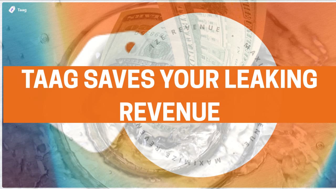 How Taag Can Help Your Subscription Business To Save Leaking Revenue